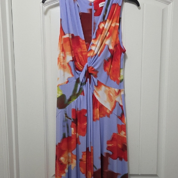Calvin Klein Floral Print Midi Dress - Blue and Red - Picture 2 of 7